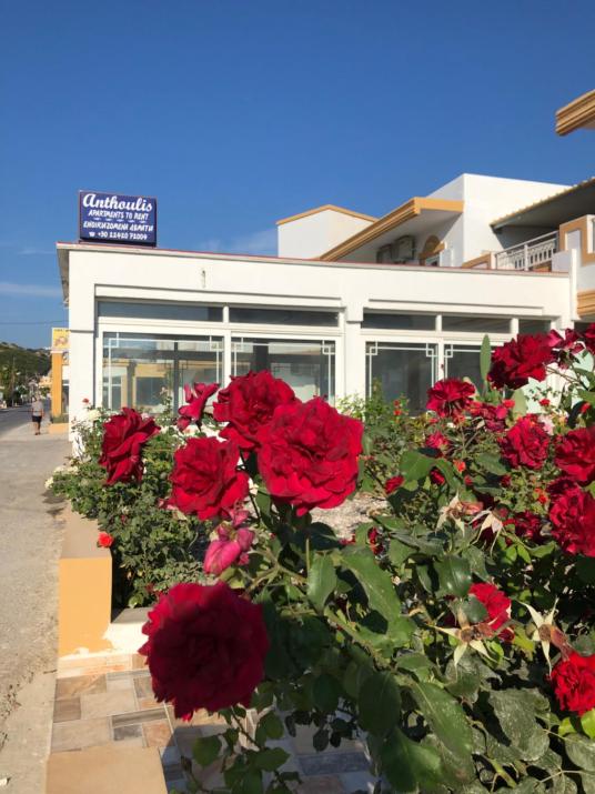Anthoulis Studios