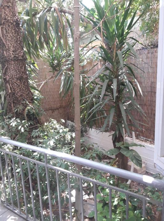 Hotel Pegasos