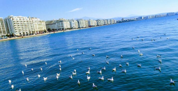 CENTER neat the sea and metro and conference center of concert hall