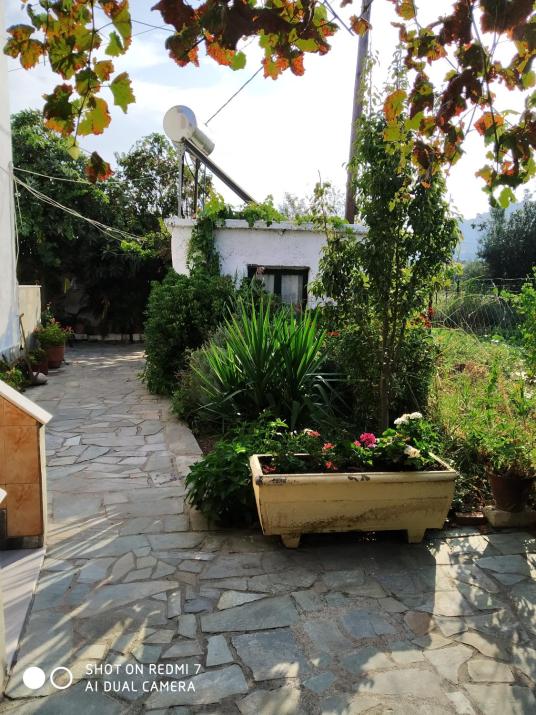 Magdalini Studio