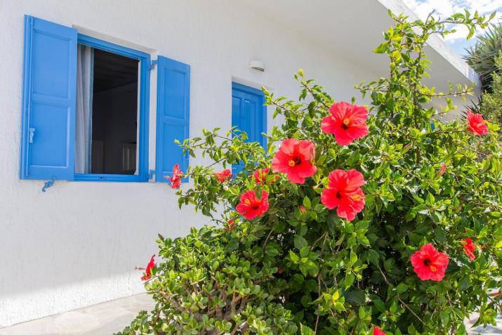 Mykonos Vouniotis Rooms