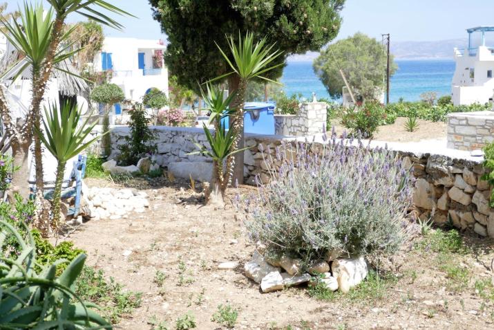 STAVROS STUDIOS
