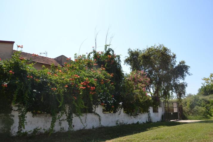 Beach House Into the Green!