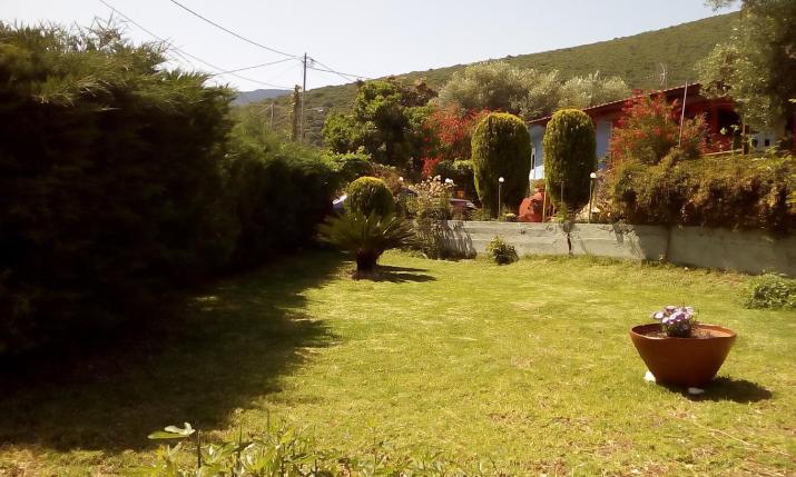 Dimitris House