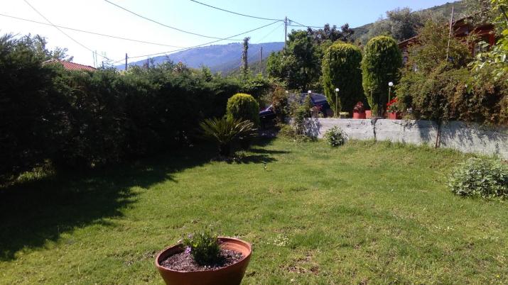 Dimitris House