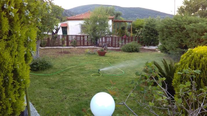 Dimitris House