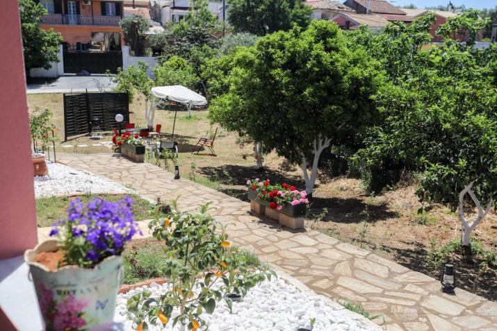 Alice's & Teo's Houses