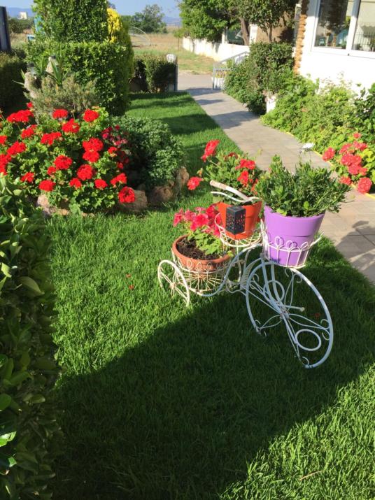 Chaliotis Apartments