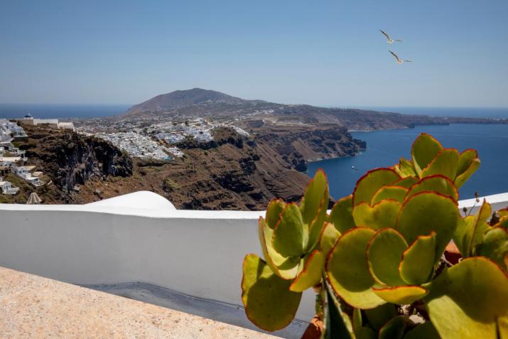 Santorini Folia Bianca