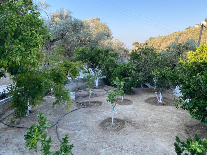 House with beautiful garden in Plomari