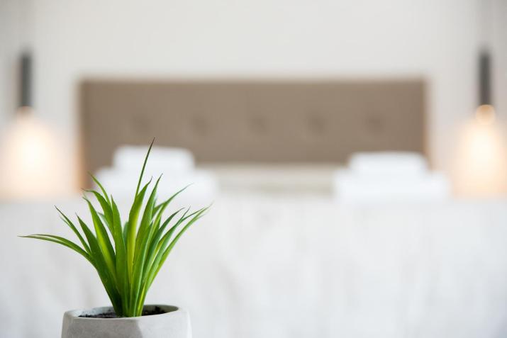 Terinikos Sunny Garden Hotel Junior Suites