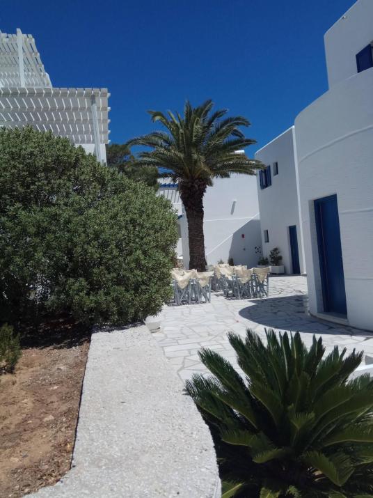 Nicos Studios & Apartments