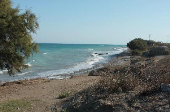 Asterias Bay-Theologos