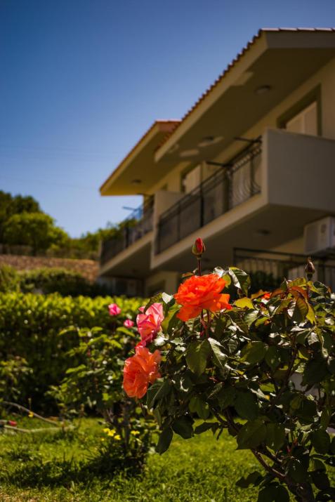 Meraki apartments