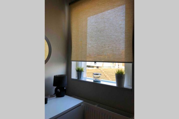Silv apartment(city center)