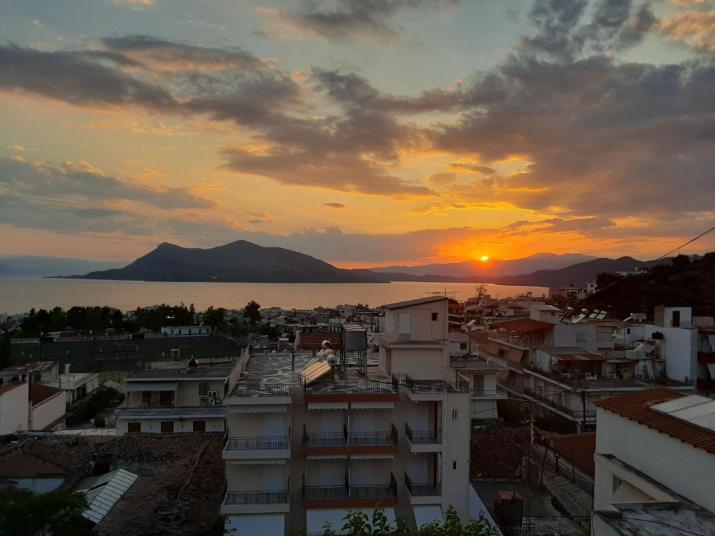 ΖΑΡΙΦΗ ΣΤΑΜΑΤΙΝΑ Ενοικιαζόμενα Διαμερίσματα