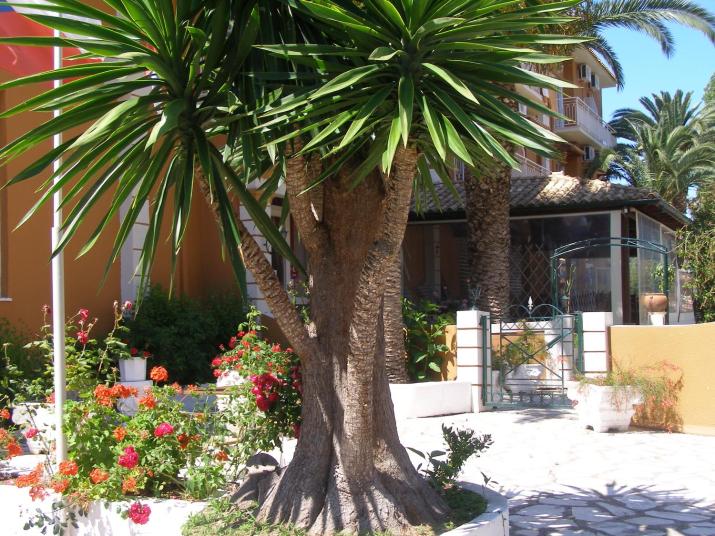 PANTHEON HALL HOTEL