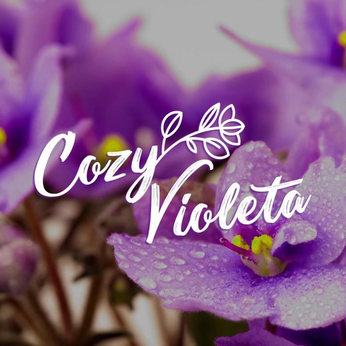Cozy Violeta
