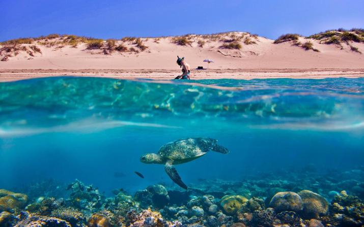 Tortuga Dafni Bay Villas Diver's Paradise by 