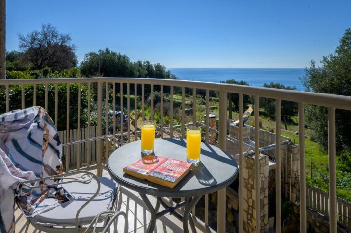 Nikos & Vassilis apartments Kefalonia