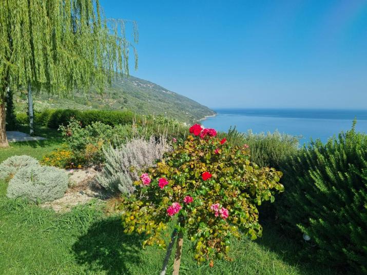 Moses Villa