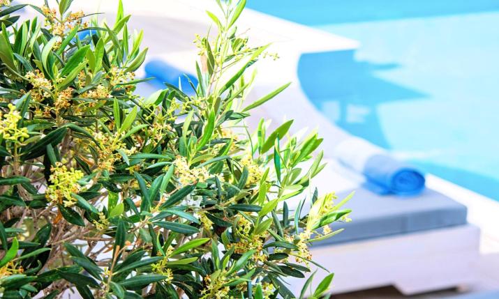 Elounda Garden Suites Heated Pool