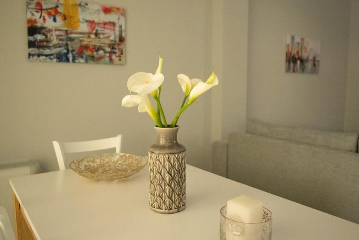 SantaCara City Apartment