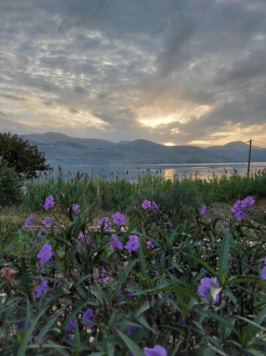 Apollonides Seafront Villa 2 Melete