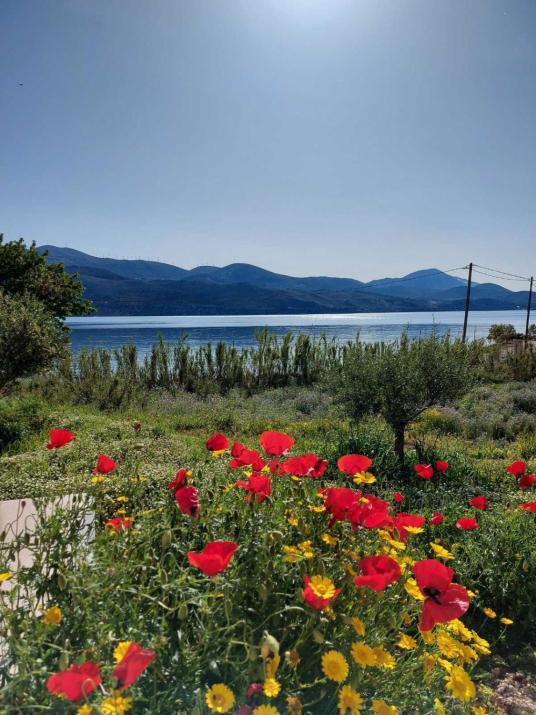 Apollonides Seafront Villa 2 Melete