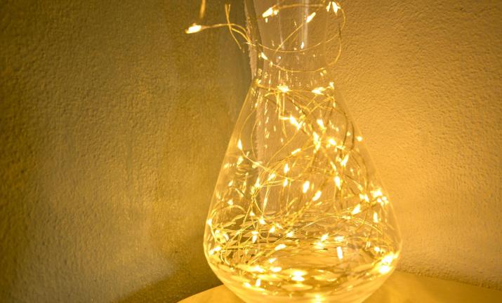 Thalassoxyla Thalassa