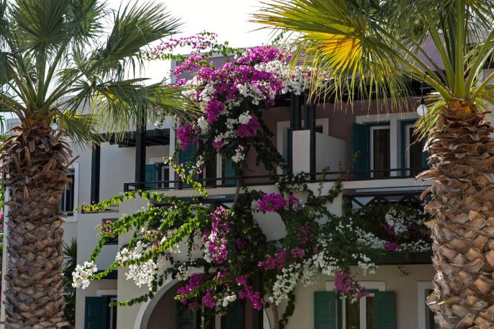 Rose Bay Hotel