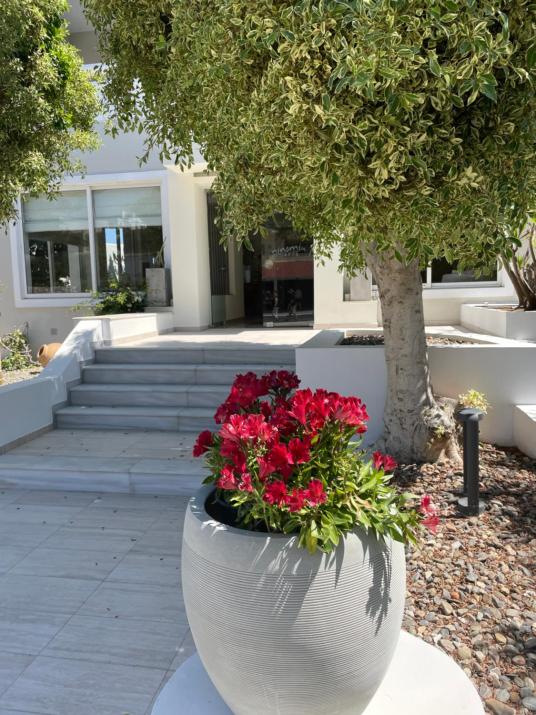 Ninemia Beach Hotel & Suites