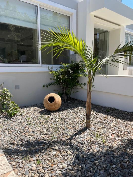 Ninemia Beach Hotel & Suites