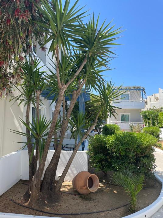 Ninemia Beach Hotel & Suites