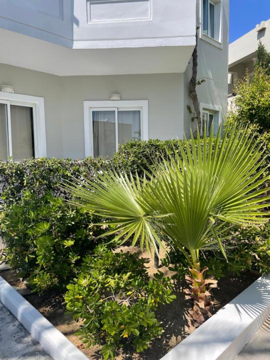 Ninemia Beach Hotel & Suites