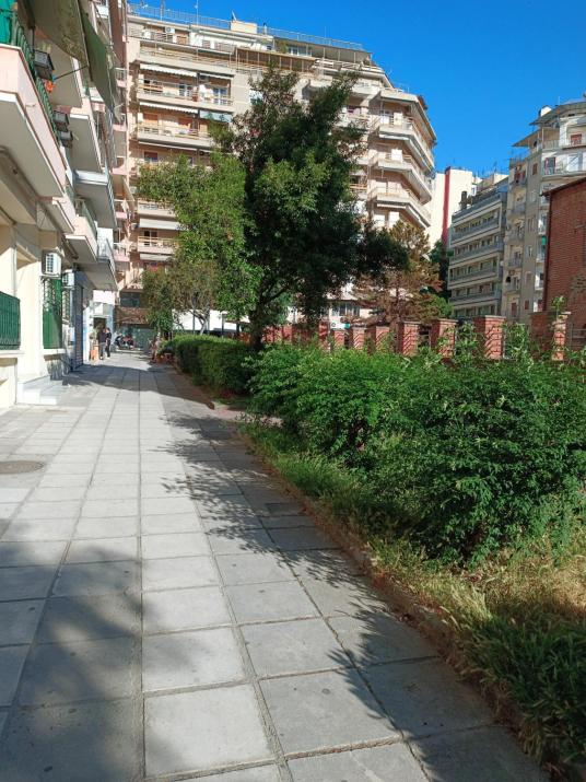 Nesting Ramblers SKG #1
