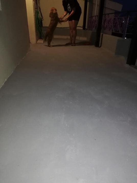 North Evia Kiki's house