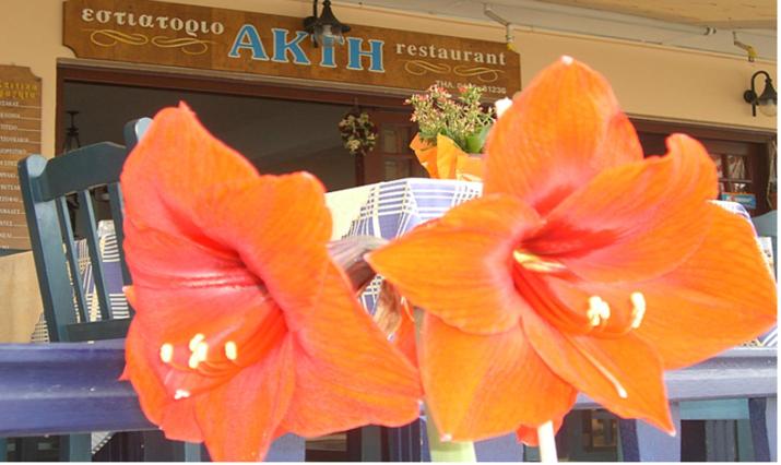 AKTI ROOMS