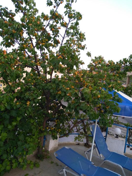 Creta Sun Hotel Studios
