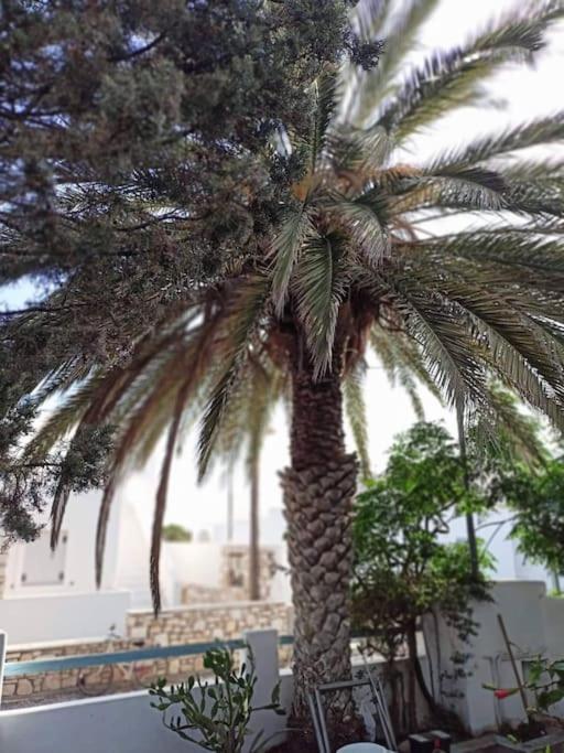 paros seaside experience