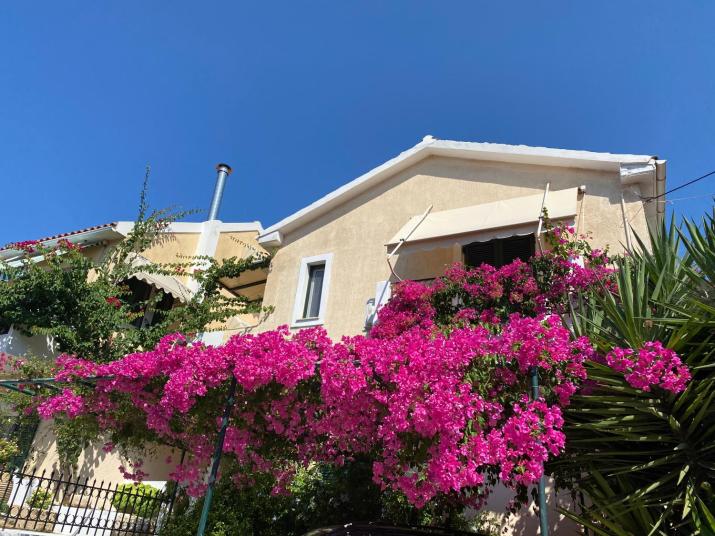 Casa Buganvilla