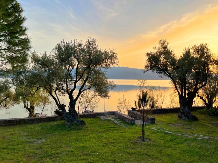 Traditional Architecture Seafront Stone House in 25000sqm Olive Grove - C