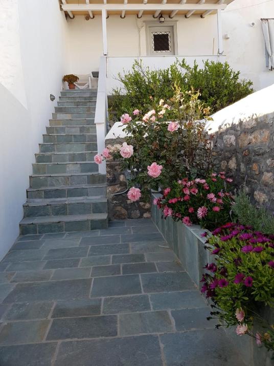 Hydra Memories House
