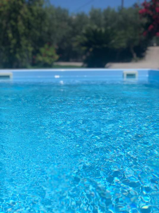 Physis Rental Estate