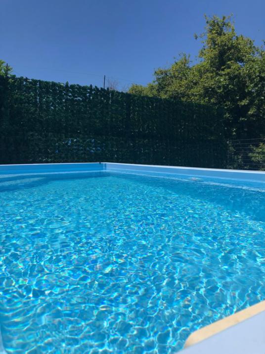 Physis Rental Estate