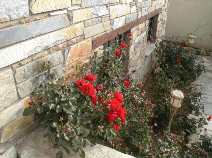 Pilion Stone House