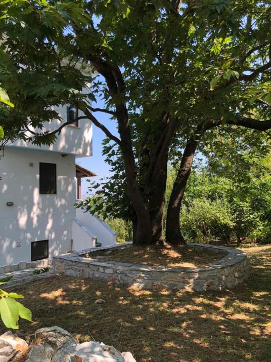 ZEN PILIO Tsagarada Villa