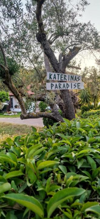 The paradise of Katerina