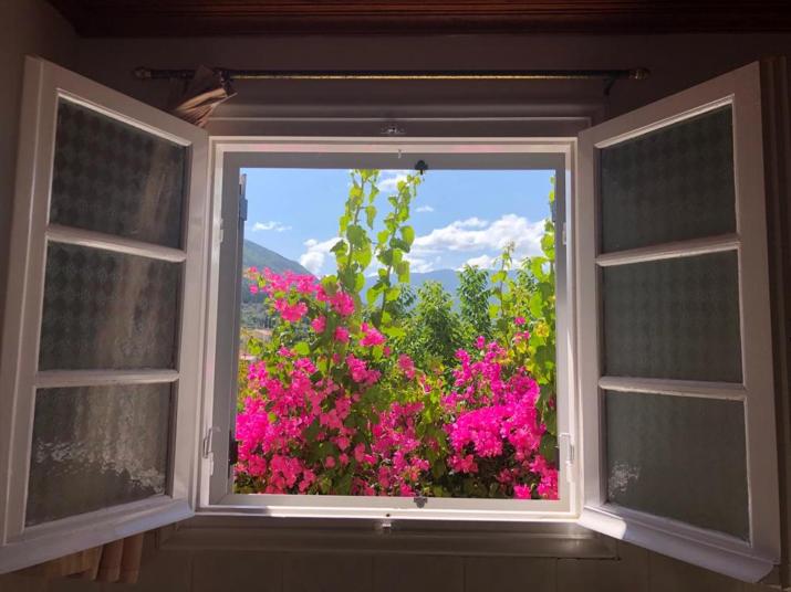 Tilde on the beach, Apts - Sami Kefalonia