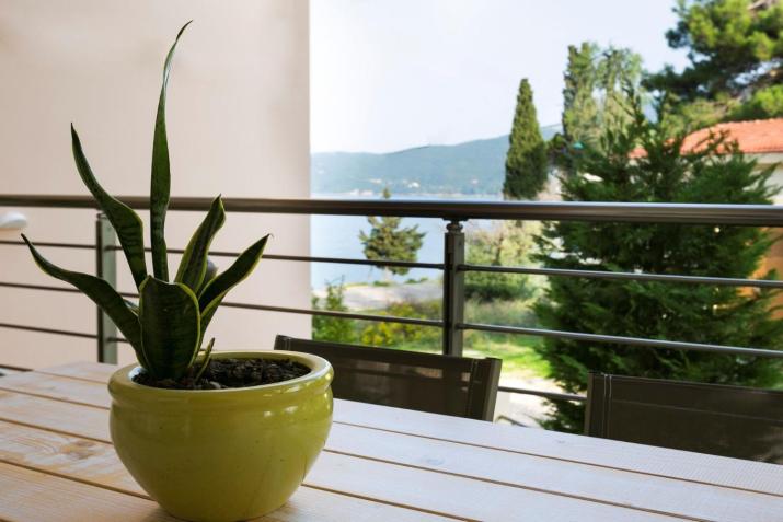 Deluxe Kefalonia Apartment Apartment Meli 2 Bedroom Pool Karavomilos